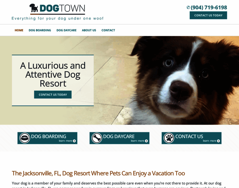Dogtown-resorts.com thumbnail