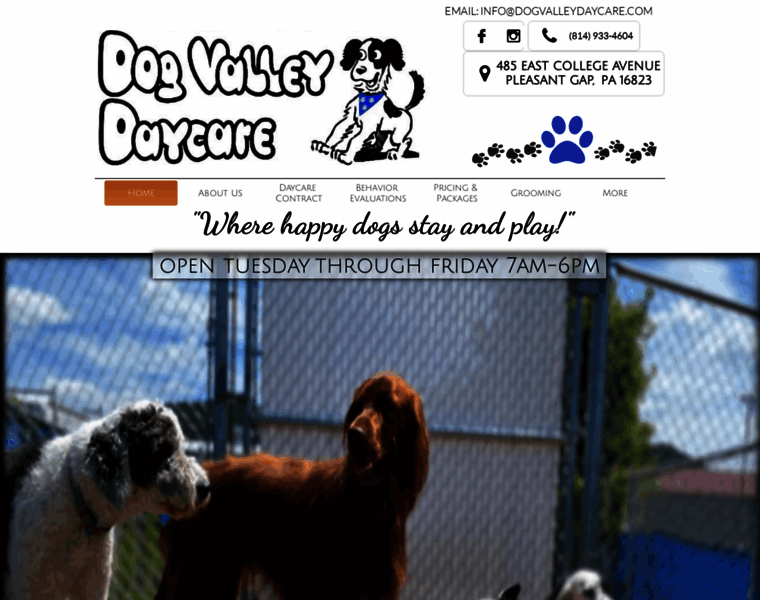 Dogvalleydaycare.com thumbnail