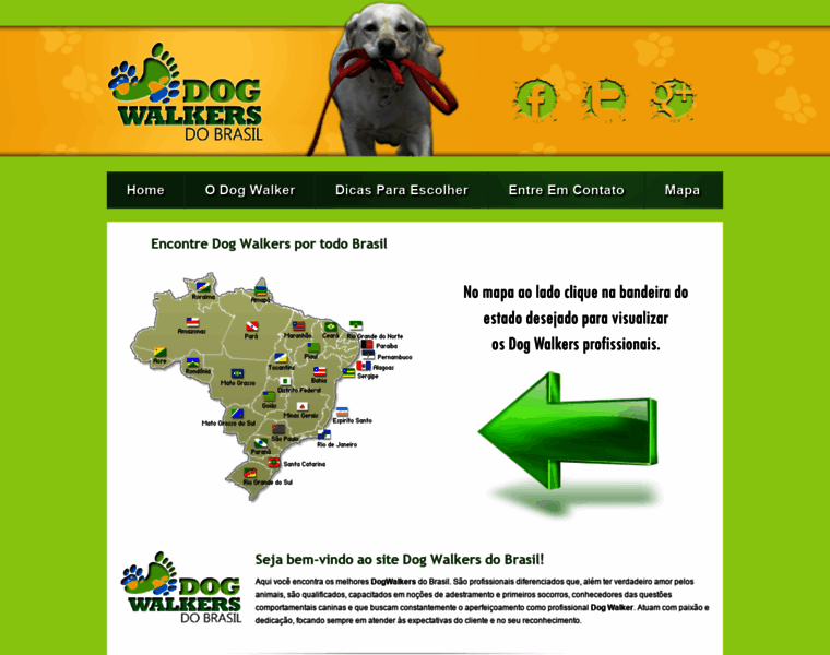 Dogwalkersdobrasil.com.br thumbnail