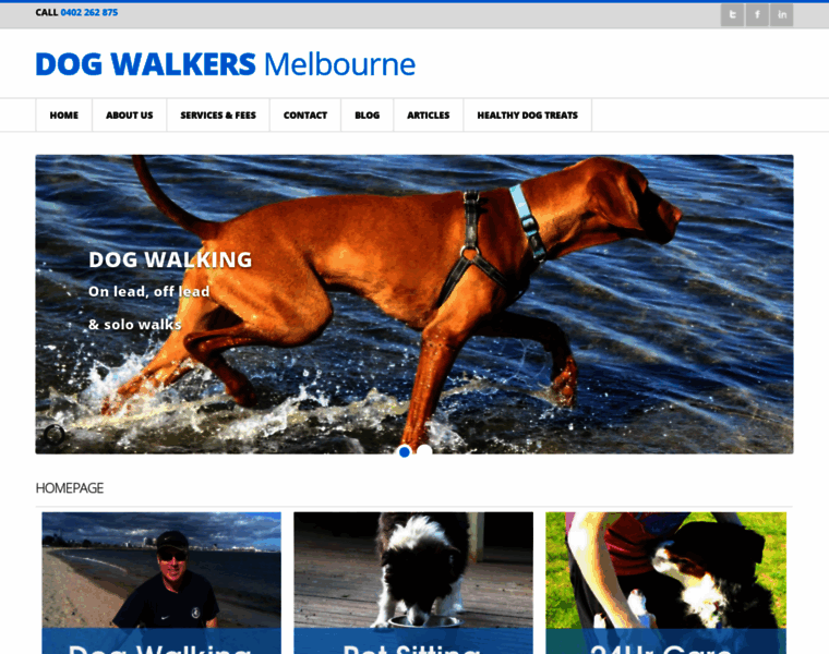 Dogwalkersmelbourne.com.au thumbnail