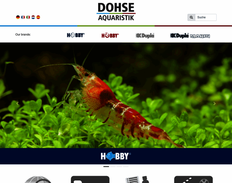 Dohse-aquaristik.com thumbnail