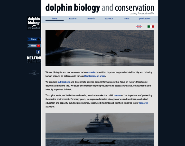 Dolphinbiology.org thumbnail