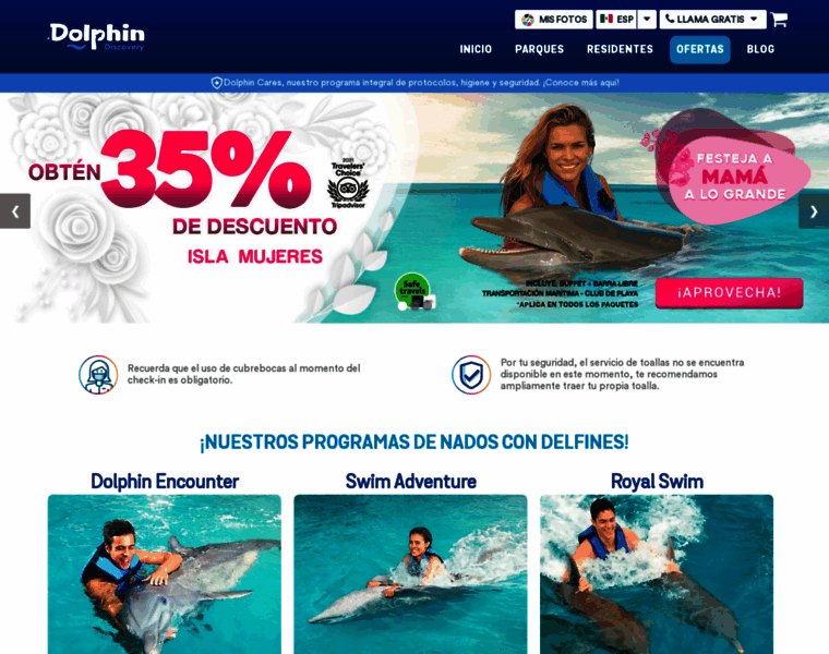 Dolphindiscovery.org.mx thumbnail