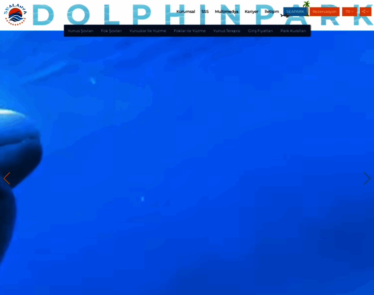 Dolphinpark.sealanya.com thumbnail