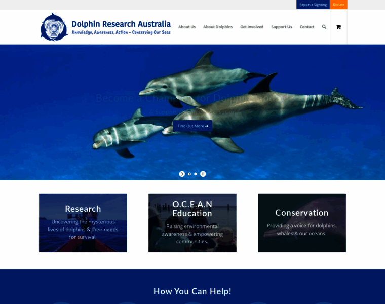 Dolphinresearchaustralia.org thumbnail