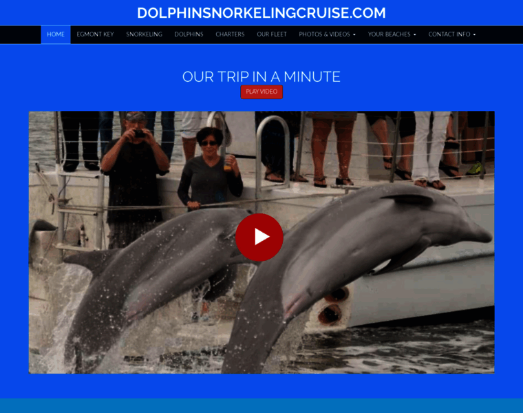 Dolphinsnorkelingcruise.com thumbnail