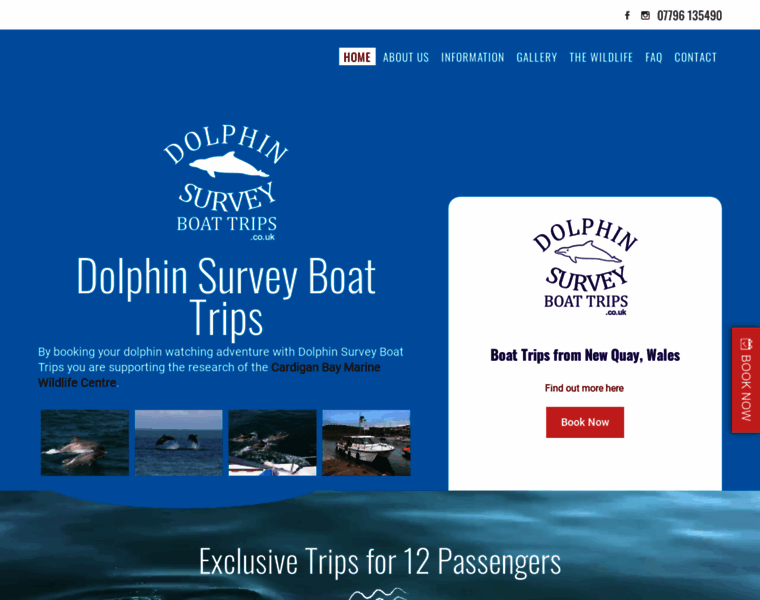 Dolphinsurveyboattrips.co.uk thumbnail