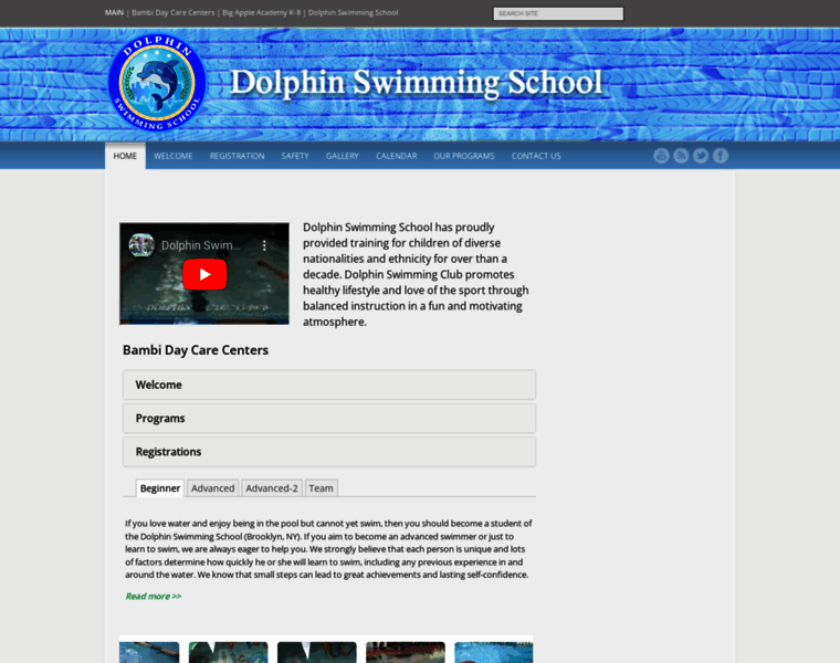 Dolphinswimmingschool.com thumbnail
