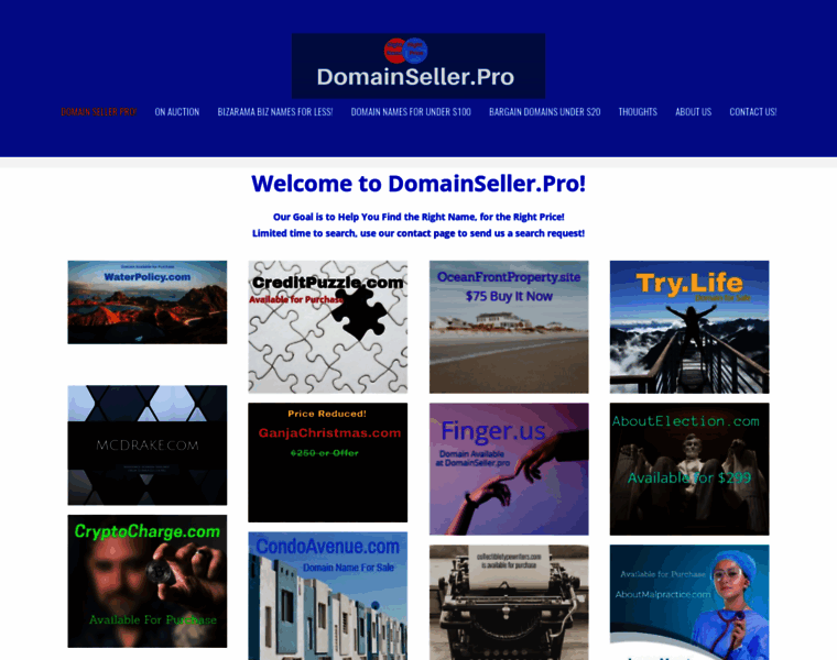Domainseller.pro thumbnail