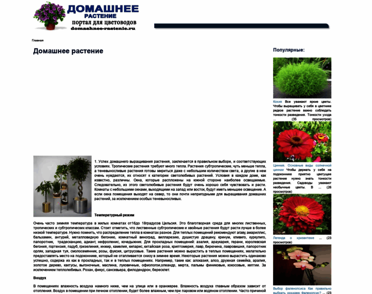Domashnee-rastenie.ru thumbnail