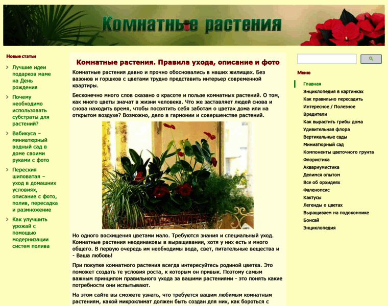 Domrastenia.com thumbnail