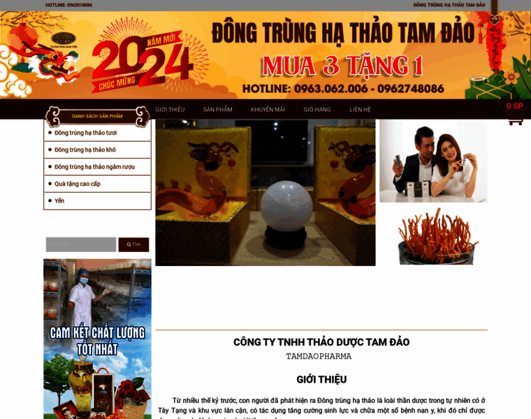 Dongtrunghathaotamdao.com thumbnail
