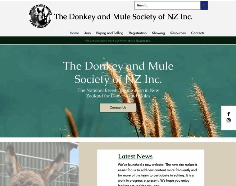 Donkey-mule.org.nz thumbnail