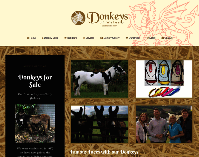 Donkeysofwales.com thumbnail