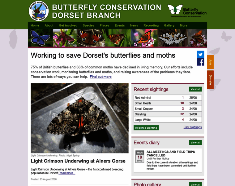 Dorsetbutterflies.com thumbnail