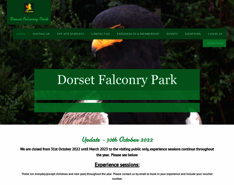 Dorsetfalconrypark.co.uk thumbnail