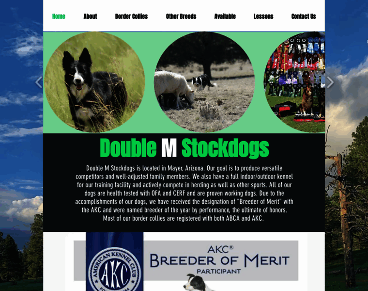 Doublemstockdogs.biz thumbnail