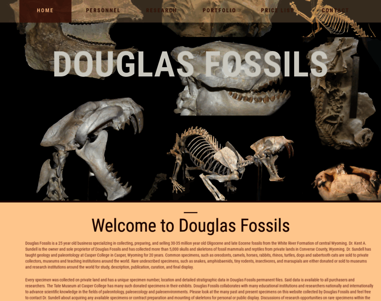 Douglasfossils.com thumbnail