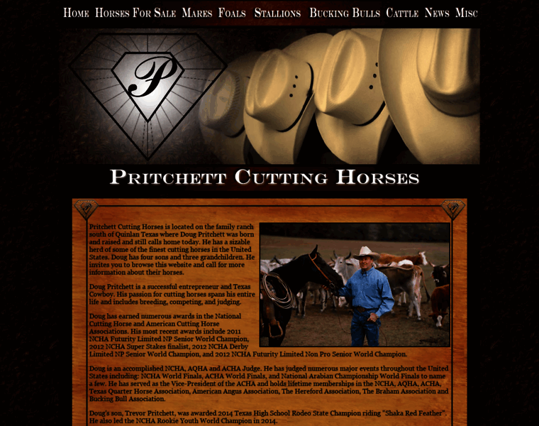 Dougpritchettcuttinghorses.com thumbnail