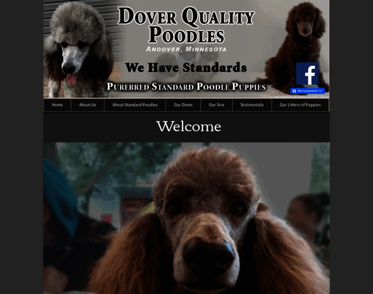 Doverqualitypoodles.com thumbnail