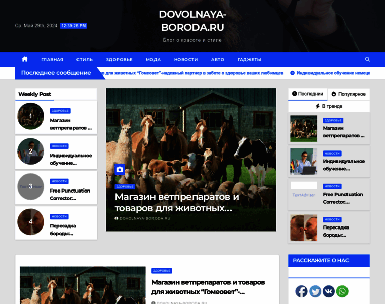 Dovolnaya-boroda.ru thumbnail