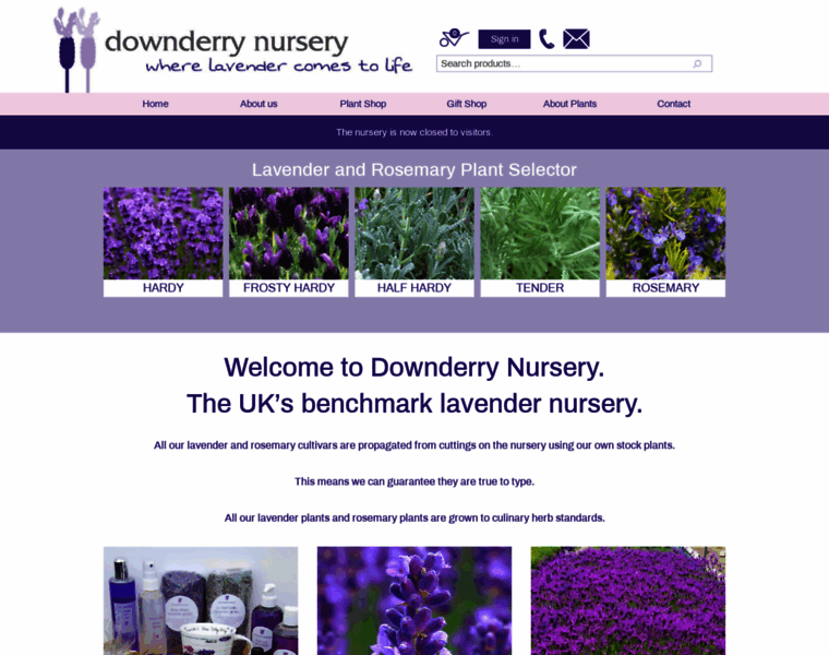 Downderry-nursery.co.uk thumbnail