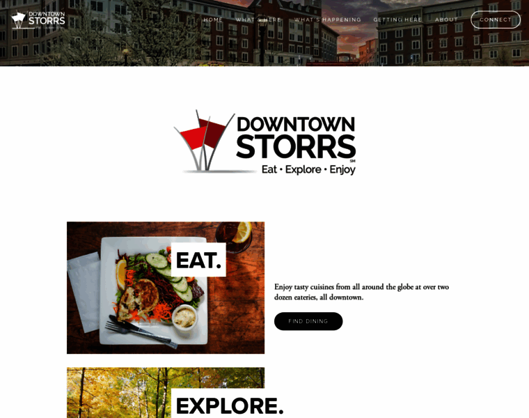 Downtownstorrs.org thumbnail