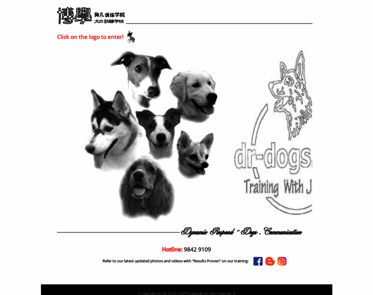 Dr-dogs.com thumbnail