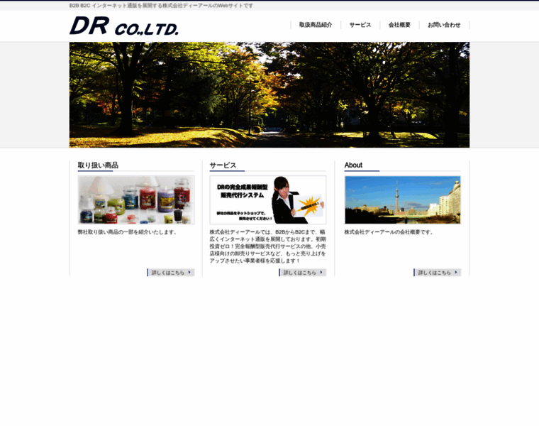 Dr-jpn.com thumbnail