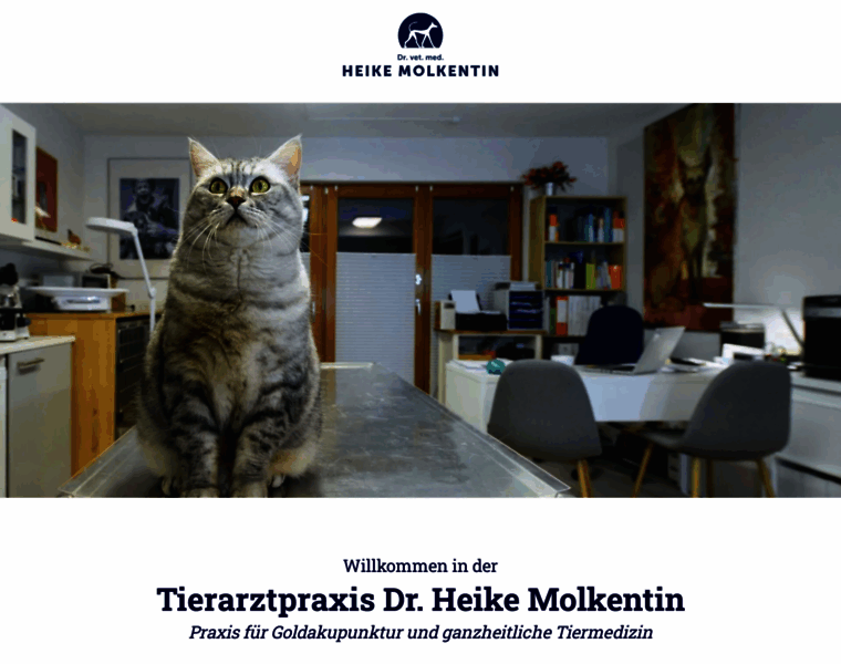 Dr-molkentin.de thumbnail