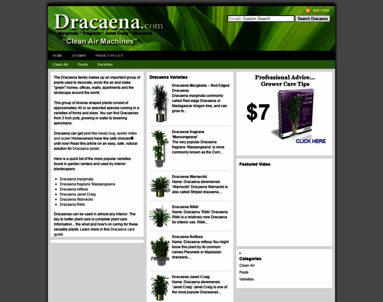 Dracaena.com thumbnail