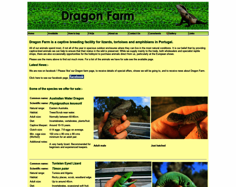 Dragonfarm.co.uk thumbnail