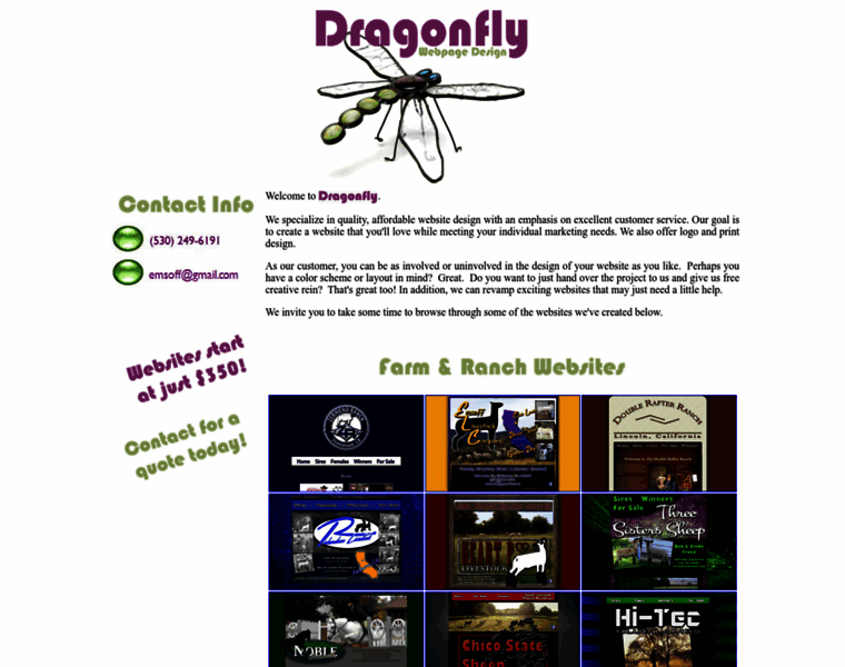 Dragonflywebpagedesign.com thumbnail