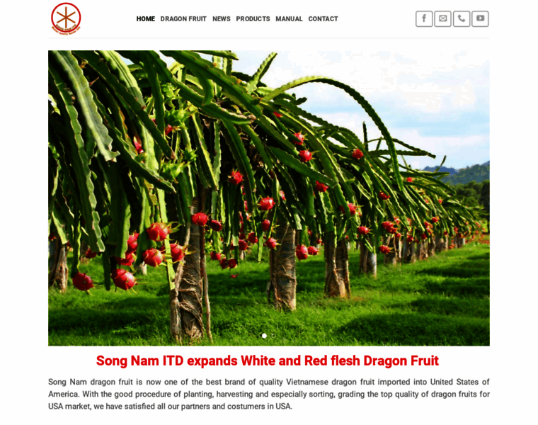 Dragonfruit.net.vn thumbnail