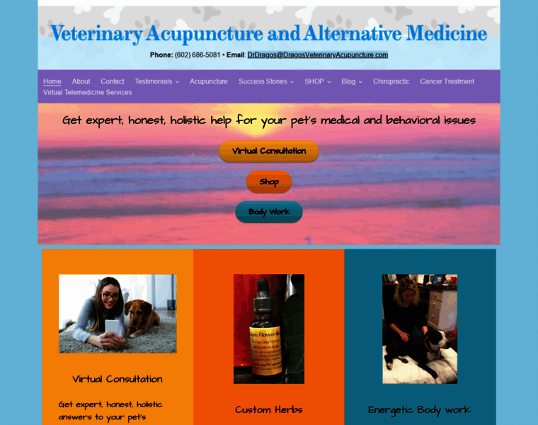 Dragosveterinaryacupuncture.com thumbnail