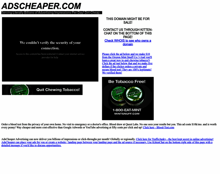 Drainsaver.com thumbnail