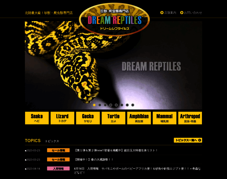 Dream-reptiles.com thumbnail