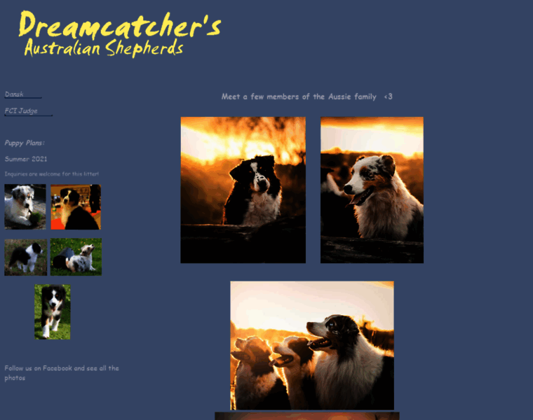 Dreamcatchers.dk thumbnail