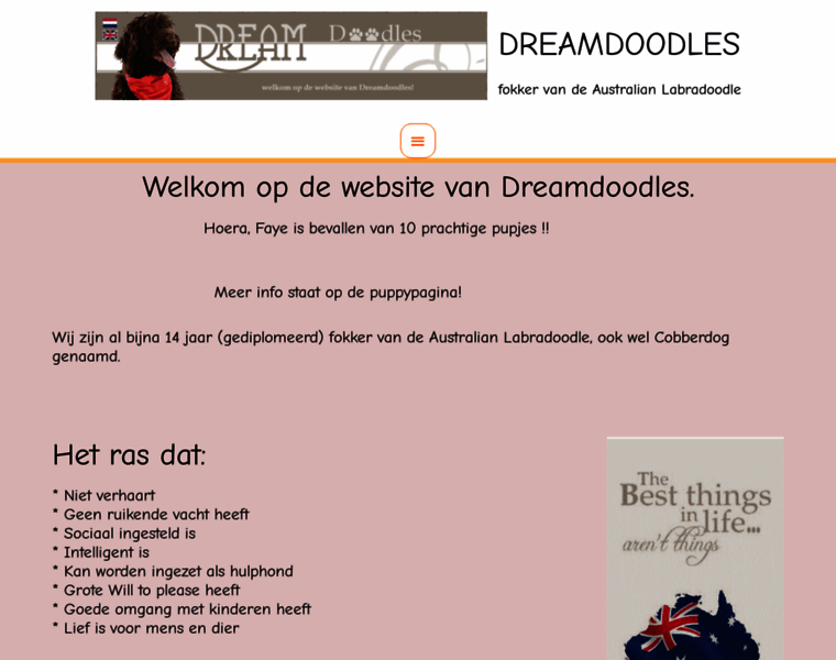 Dreamdoodles.nl thumbnail