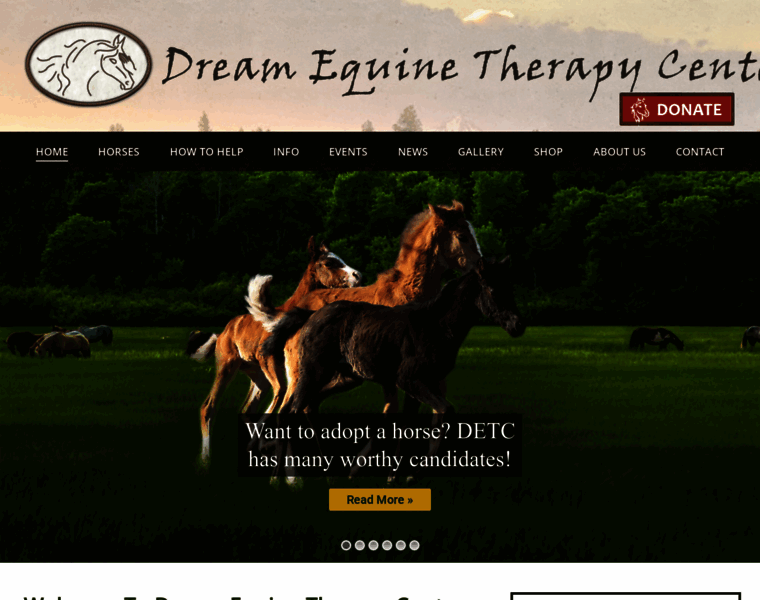 Dreamequinetherapycenter.org thumbnail