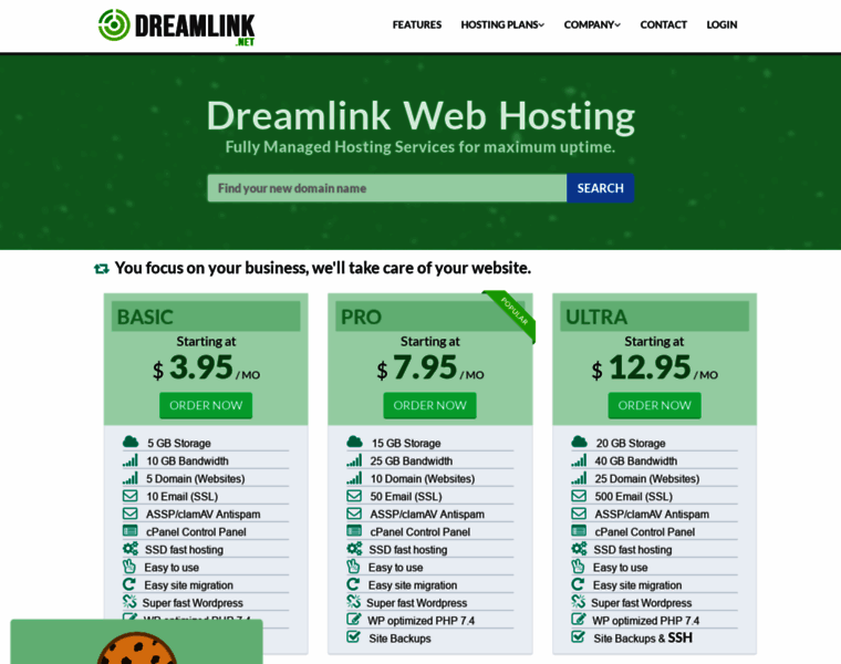 Dreamlink.net thumbnail