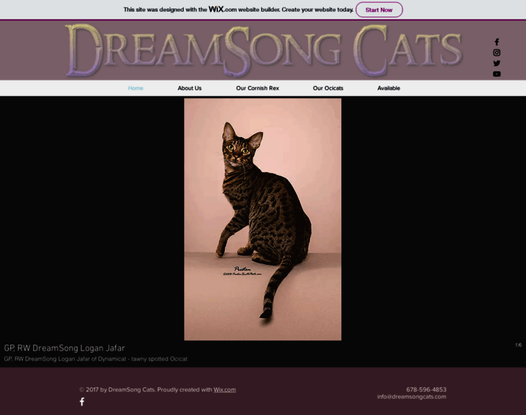 Dreamsongcats.com thumbnail