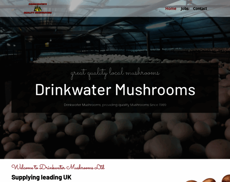 Drinkwatermushrooms.co.uk thumbnail