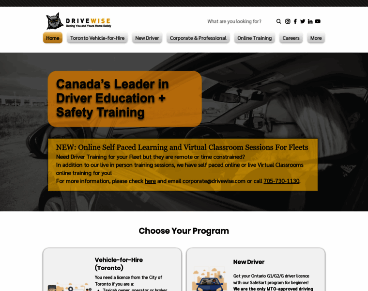 Drivewise.com thumbnail Drivewise.com thumbnail