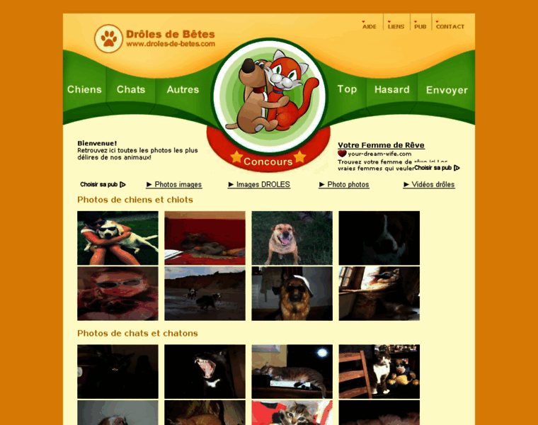 Droles-de-betes.com thumbnail