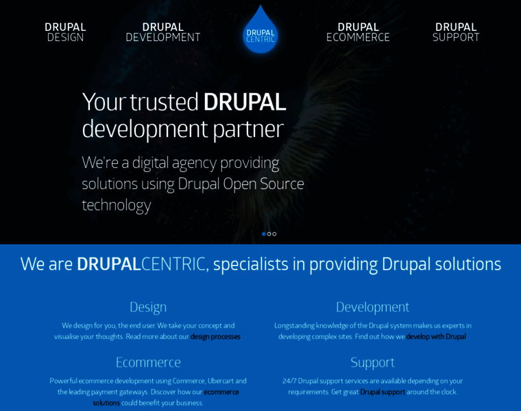 Drupalcentric.solutions thumbnail