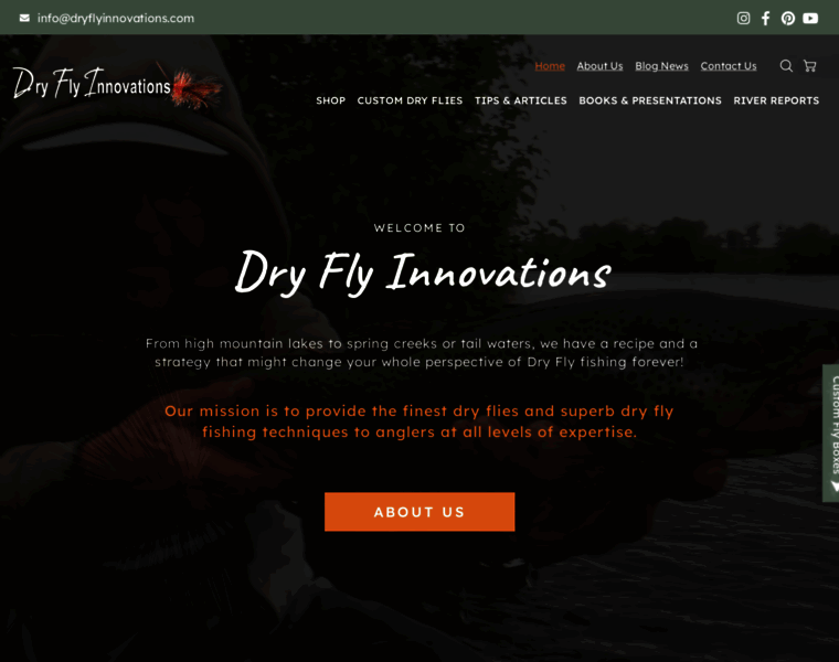 Dryflyinnovations.com thumbnail