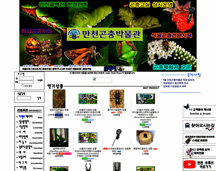 Dryinsect.co.kr thumbnail