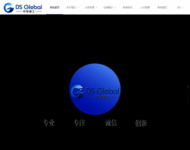 Ds-global.cn thumbnail
