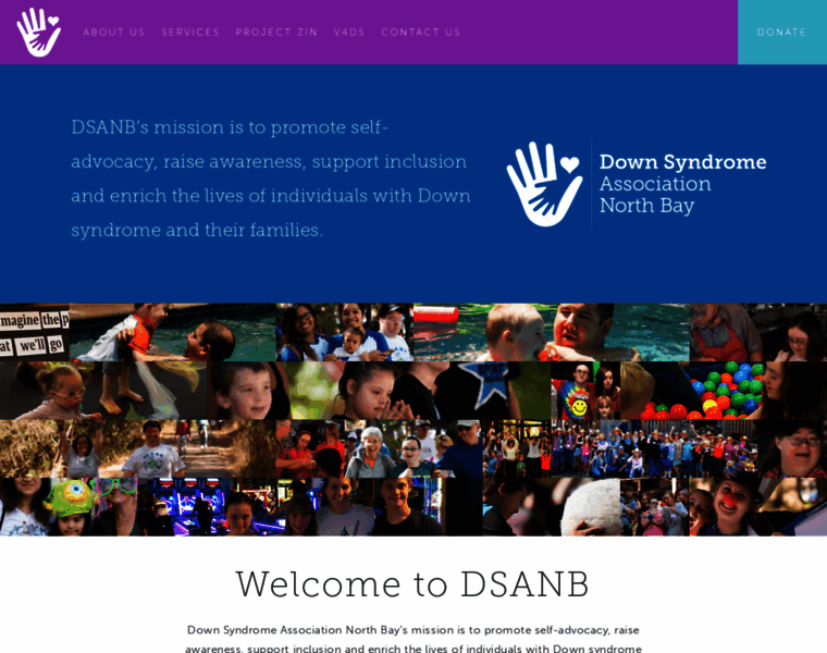Dsanb.org thumbnail